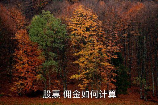  股票 傭金如何計(jì)算