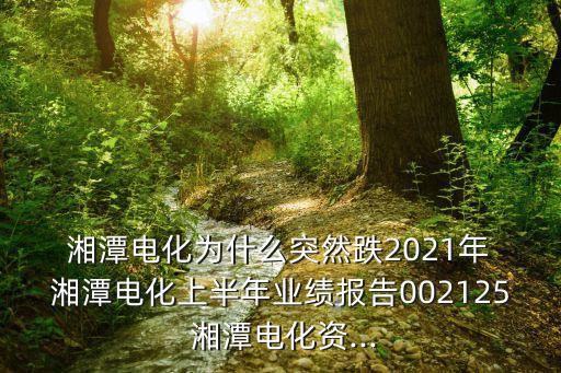  湘潭電化為什么突然跌2021年 湘潭電化上半年業(yè)績報(bào)告002125 湘潭電化資...