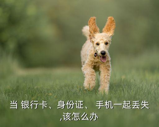 當 銀行卡、身份證、 手機一起丟失,該怎么辦