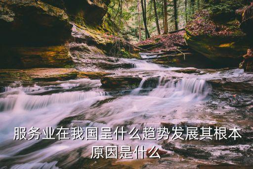 中國服務業(yè)才是未來,未來服務業(yè)發(fā)展的新變化