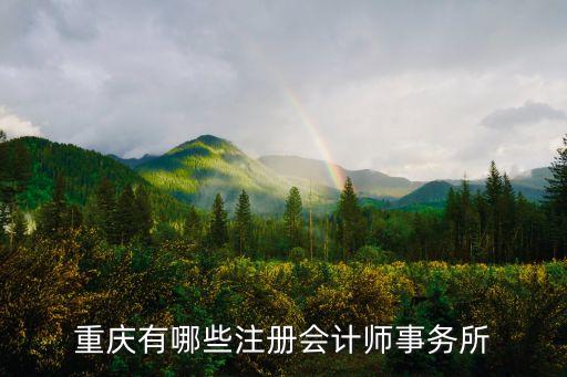 重慶有哪些注冊會計師事務(wù)所