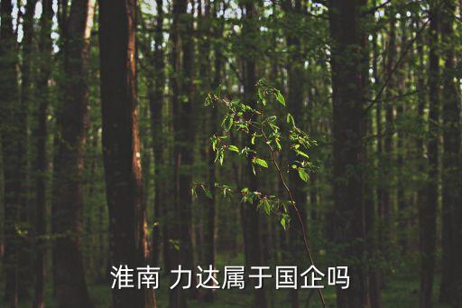 淮南 力達屬于國企嗎