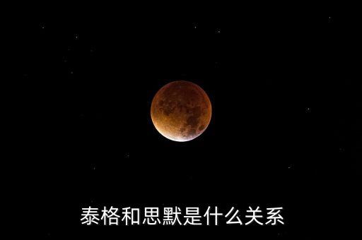  泰格和思默是什么關系