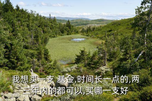 我想買一支 基金,時間長一點的,兩三年內(nèi)的都可以,買哪一支好