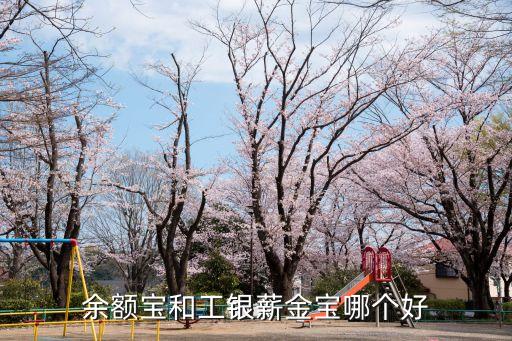 建設(shè)銀行理財產(chǎn)品000693