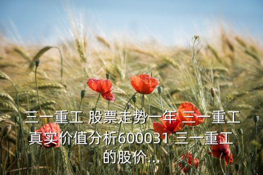  三一重工 股票走勢(shì)一年 三一重工真實(shí)價(jià)值分析600031 三一重工的股價(jià)...