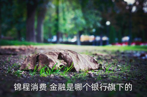 錦程消費 金融是哪個銀行旗下的