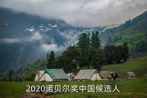 2020諾貝爾獎(jiǎng)中國(guó)候選人