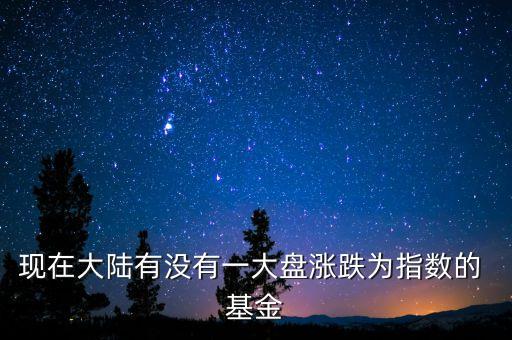 現在大陸有沒有一大盤漲跌為指數的 基金