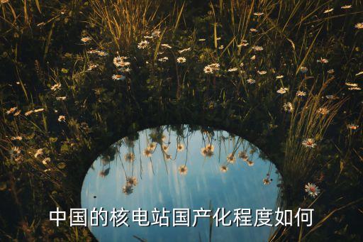 中國的核電站國產化程度如何