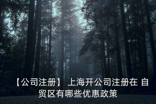 上海自貿(mào)區(qū)報稅點(diǎn)