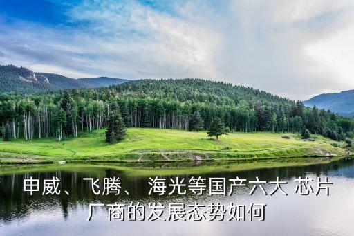 申威、飛騰、 海光等國產(chǎn)六大 芯片廠商的發(fā)展態(tài)勢如何