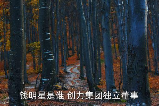 錢明星是誰(shuí) 創(chuàng)力集團(tuán)獨(dú)立董事