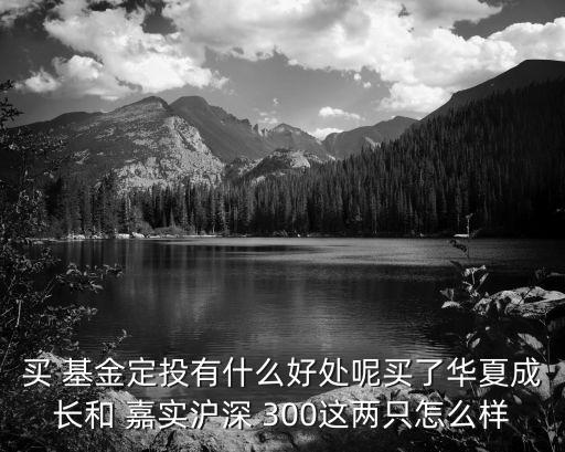 買(mǎi) 基金定投有什么好處呢買(mǎi)了華夏成長(zhǎng)和 嘉實(shí)滬深 300這兩只怎么樣