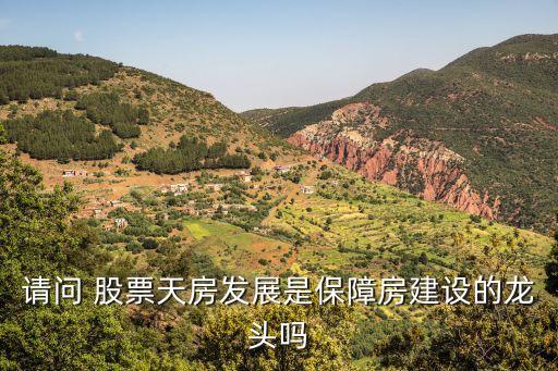 請問 股票天房發(fā)展是保障房建設的龍頭嗎