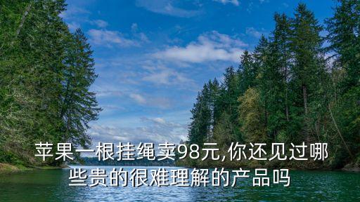  蘋(píng)果一根掛繩賣(mài)98元,你還見(jiàn)過(guò)哪些貴的很難理解的產(chǎn)品嗎
