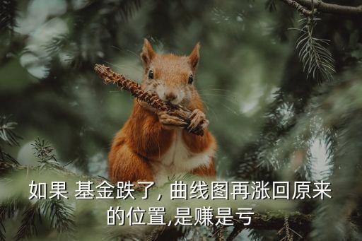如果 基金跌了, 曲線(xiàn)圖再漲回原來(lái)的位置,是賺是虧