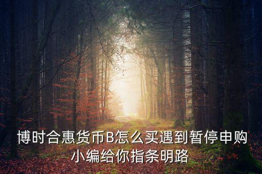 博時(shí)合惠貨幣B怎么買(mǎi)遇到暫停申購(gòu)小編給你指條明路