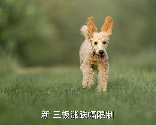 三板最低價(jià)股票,新三板股票如何買(mǎi)賣交易