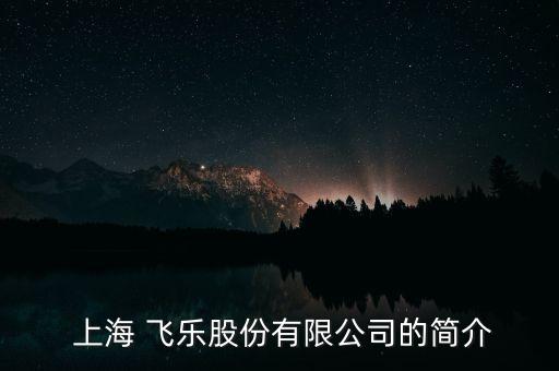 上海飛樂電聲設備