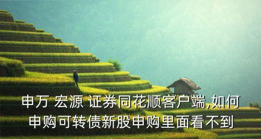 申萬 宏源 證券同花順客戶端,如何申購可轉債新股申購里面看不到