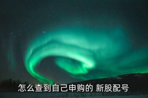 怎么查到自己申購(gòu)的 新股配號(hào)
