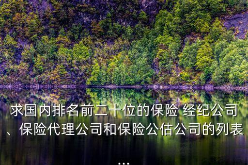 求國(guó)內(nèi)排名前二十位的保險(xiǎn) 經(jīng)紀(jì)公司、保險(xiǎn)代理公司和保險(xiǎn)公估公司的列表...
