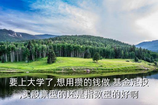 要上大學(xué)了,想用攢的錢(qián)做 基金定投,買(mǎi)股票型的還是指數(shù)型的好啊