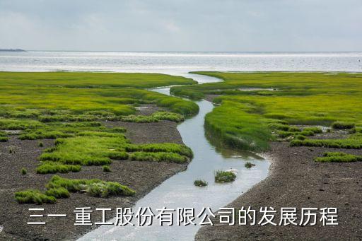 三一集團和三一重工的關系,三一重工是三一集團的子公司嗎