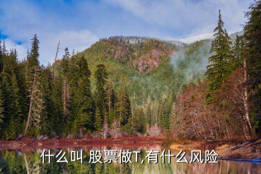 股票t線(xiàn),股票T線(xiàn)什么意思