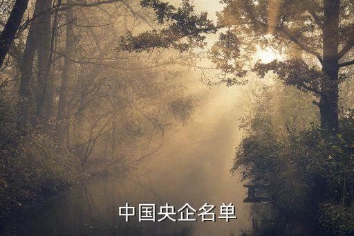 中國南動(dòng)集團(tuán)財(cái)務(wù)有限責(zé)任公司