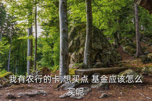 農銀中小盤基金