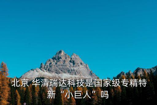  北京 華清瑞達(dá)科技是國家級專精特新“小巨人”嗎
