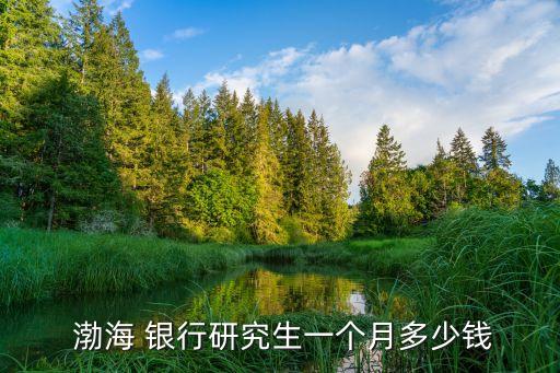  渤海 銀行研究生一個(gè)月多少錢(qián)