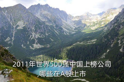 2011年世界500強(qiáng)中國(guó)上榜公司,哪些在A(yíng)股上市