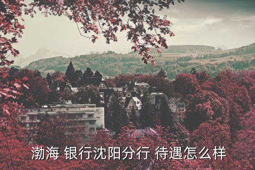  渤海 銀行沈陽(yáng)分行 待遇怎么樣