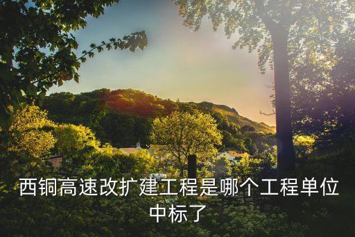  西銅高速改擴建工程是哪個工程單位中標(biāo)了