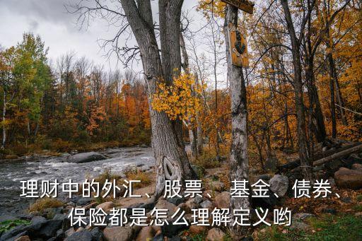 理財中的外匯、股票、 基金、債券、保險都是怎么理解定義喲