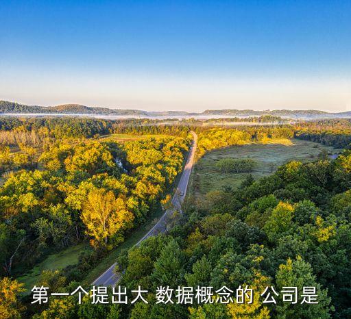 第一個提出大 數(shù)據(jù)概念的 公司是