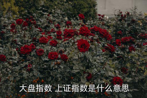 上證股票行情大盤,上證100股票行情