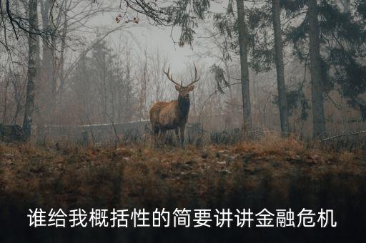 誰給我概括性的簡(jiǎn)要講講金融危機(jī)