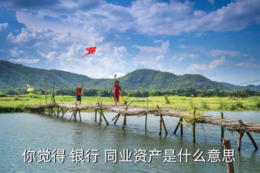 你覺(jué)得 銀行 同業(yè)資產(chǎn)是什么意思