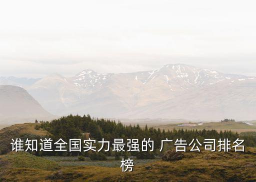 誰知道全國實(shí)力最強(qiáng)的 廣告公司排名榜