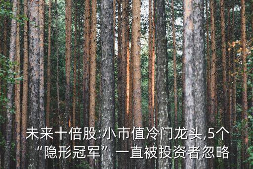  未來(lái)十倍股:小市值冷門(mén)龍頭,5個(gè)“隱形冠軍”一直被投資者忽略