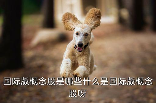 國(guó)際版概念股是哪些什么是國(guó)際版概念股呀