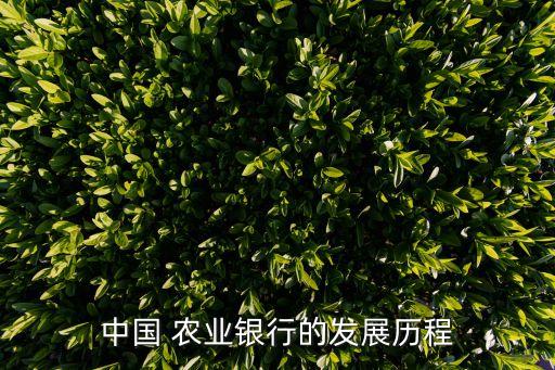 中國(guó) 農(nóng)業(yè)銀行的發(fā)展歷程