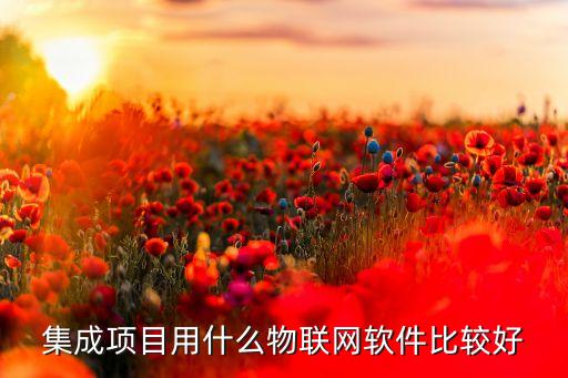 濟(jì)南東軟股份有限公司,東軟集團(tuán)股份有限公司是國企嗎