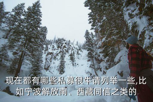 現(xiàn)在都有哪些私募很牛請列舉一些,比如寧波解放南、西藏同信之類的