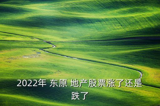 2022年 東原 地產股票漲了還是跌了