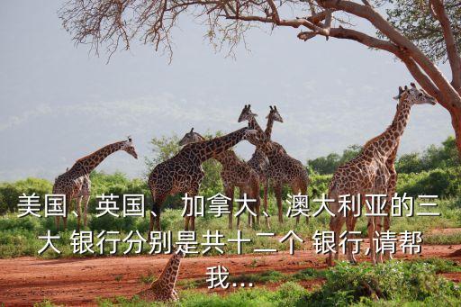 美國(guó)、英國(guó)、 加拿大、澳大利亞的三大 銀行分別是共十二個(gè) 銀行,請(qǐng)幫我...
